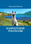 Книга Камчатские рассказы автора Василий Князев