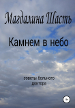 Книга Камнем в небо автора Магдалина Шасть