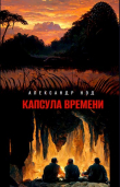 Книга Капсула времени (СИ) автора Александр Нэд