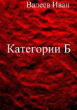 Книга Категории Б автора Иван Валеев