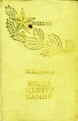 Книга Когда цветут камни автора Иван Падерин