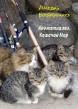 Книга Кошачий Мир автора Андрей Бондаренко