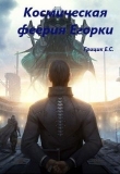 Книга Космическая феерия Егорки (СИ) автора Катя Грицик