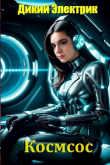 Книга Космос (СИ) автора Дикий Электрик