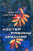 Книга Костер рябины красной автора Михаил Лаптев