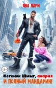 Книга Котенок Шмыг, авария и полный мандарин! (СИ) автора Яна Лари