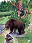 Книга Купание медвежат автора Виталий Бианки