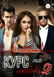 Книга Курс на любовь 2 автора Стелла Кьярри