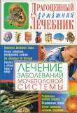 Книга Лечение заболеваний мочеполовой системы автора Светлана Мирошниченко