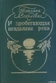 Книга Легенда о стиральной доске автора Татьяна Соколова