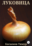 Книга Луковица автора Тимур Касымов