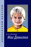 Книга Маг Данилка автора Александр Охотин