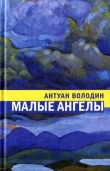 Книга Малые ангелы автора Антуан Володин