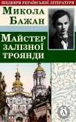 Книга Майстер залізної троянди автора Микола Бажан