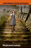 Книга Медвежий камень автора Валерия Горбачева