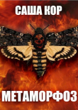 Книга Метаморфоз (СИ) автора Кицуне-тайчо