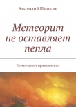 Книга Метеорит не оставляет пепла автора Анатолий Шинкин
