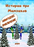 Книга Мимзики. Новогоднее приключение автора Зим Мимзик