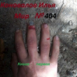 Книга Мир № 404 (СИ) автора Илья Коновалов