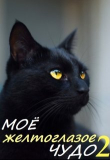 Книга Моё желтоглазое чудо. Книга 2 (СИ) автора Кира Оксана Валарика