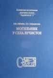 Книга Могильник у села Лучистое. Том II. Раскопки 1984, 1986, 1991, 1993–1995 годов автора Александр Айбабин