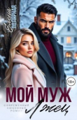 Книга Мой муж лжец (СИ) автора Елена Полярная
