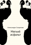 Книга Мягкий асфальт автора Александра Солдатова