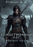 Книга Начало пути (СИ) автора А. А. Птицын