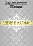 Книга Неделя в кармане (СИ) автора Константин Жевнов