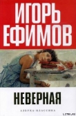 Книга Неверная автора Игорь Ефимов