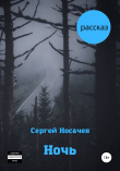 Книга Ночь автора Сергей Носачев