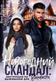 Книга Новогодний скандал: инструкция по выживанию для виноватых (СИ) автора Полина Раевская