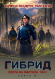 Обложка: Охота на мастера. Том 2 (СИ)