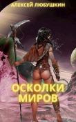 Книга Осколки Миров (СИ) автора Алексей Любушкин