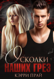 Книга Осколки наших грез (СИ) автора Кэрри Прай