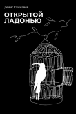 Книга Открытой ладонью автора Денис Климачев