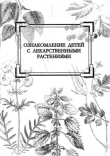 Книга Ознакомление детей с лекарственными растениями автора авторов Коллектив