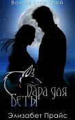 Книга Пара для Беты (ЛП) автора Элизабет Прайс