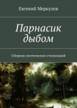 Книга Парнасик дыбом автора Евгений Меркулов