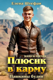 Книга Пашкины будни (СИ) автора Елена Штефан