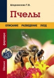 Книга Пчелы автора Татьяна Шнуровозова
