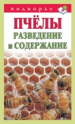 Книга Пчёлы. Разведение и содержание автора Тамара Руцкая