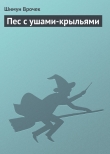 Книга Пес с ушами-крыльями автора Шимун Врочек