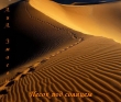 Книга Песок под солнцем (СИ) автора Алекс Змаев