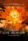 Книга Пламя и тень / Flame and shadow автора Сара Тисдейл