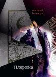 Книга Плерома автора Анатолий Белоусов