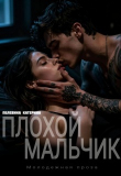 Книга Плохой мальчик (СИ) автора Катерина Пелевина