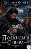 Книга Подкидыш севера (СИ) автора Светлана Огнева
