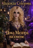 Обложка: Пока Медора на смене (СИ)