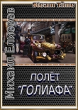 Книга Полёт "Голиафа" (СИ) автора Михаил Елисеев